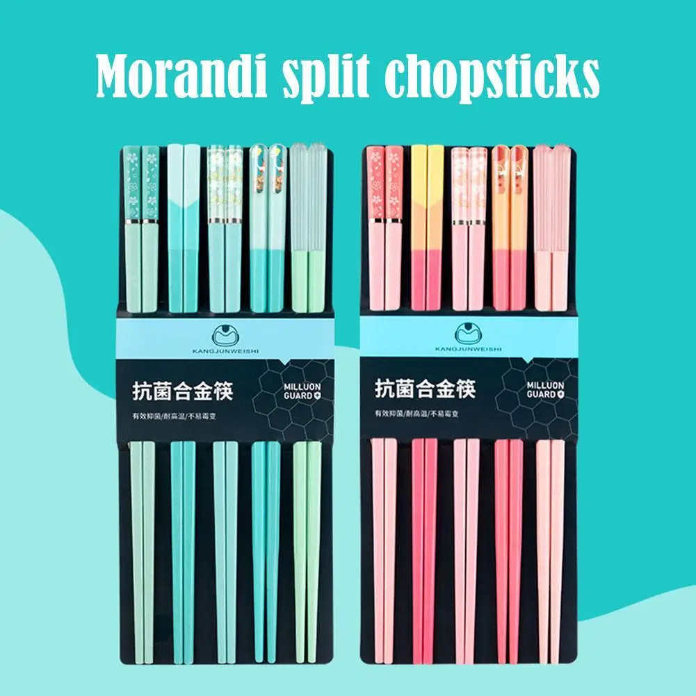 5 Pairs Japanese Style Morandi Colors Chopsticks Set Non-Slip Chopsticks Dishwasher Safe for Home Restaurant Sushi Chopsticks view 6