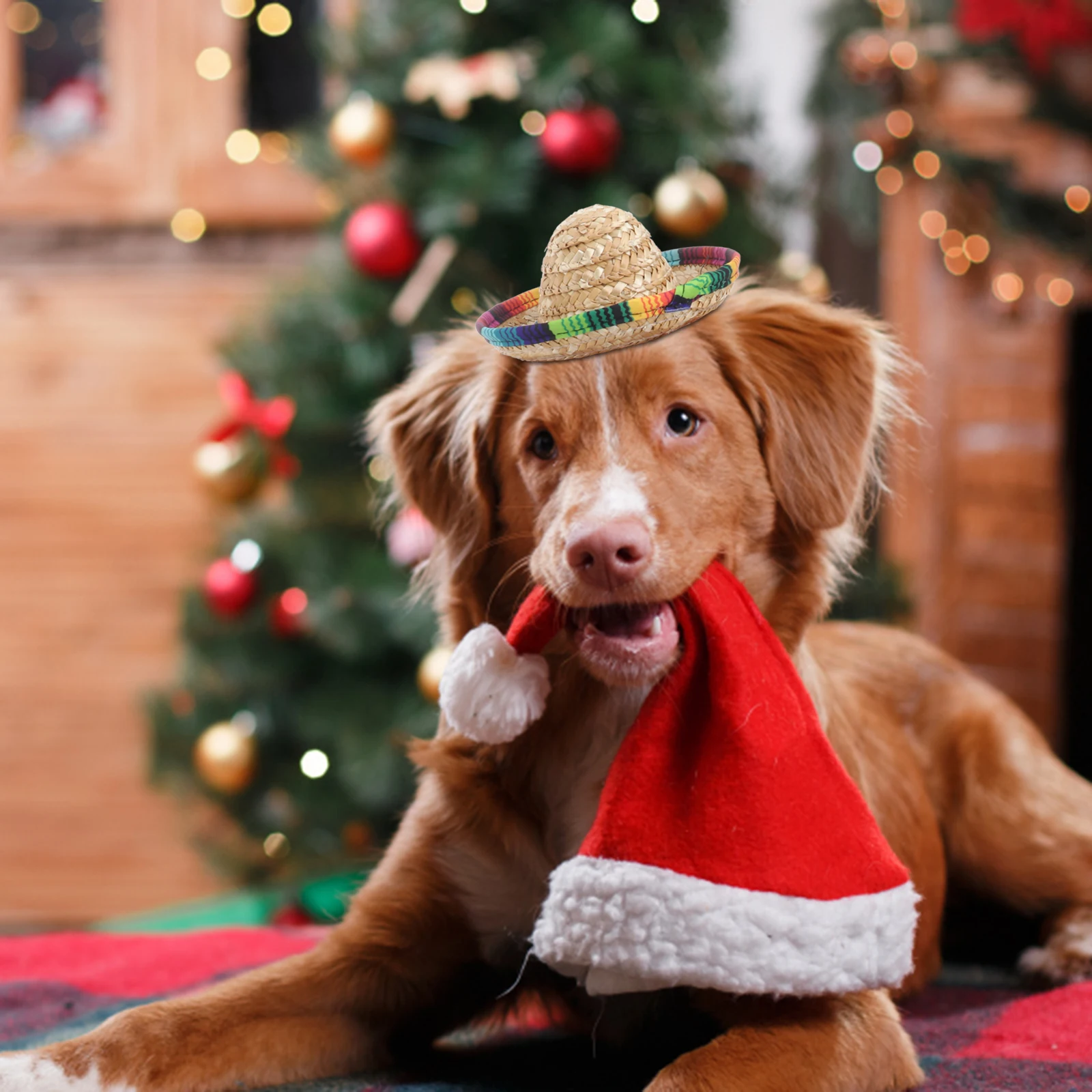 

3pcs Mexican Hat for Pets Soft Breathable Halloween Party Dog Cat Puppy Sombrero Costumes Accessories Photoshoot Props Pet