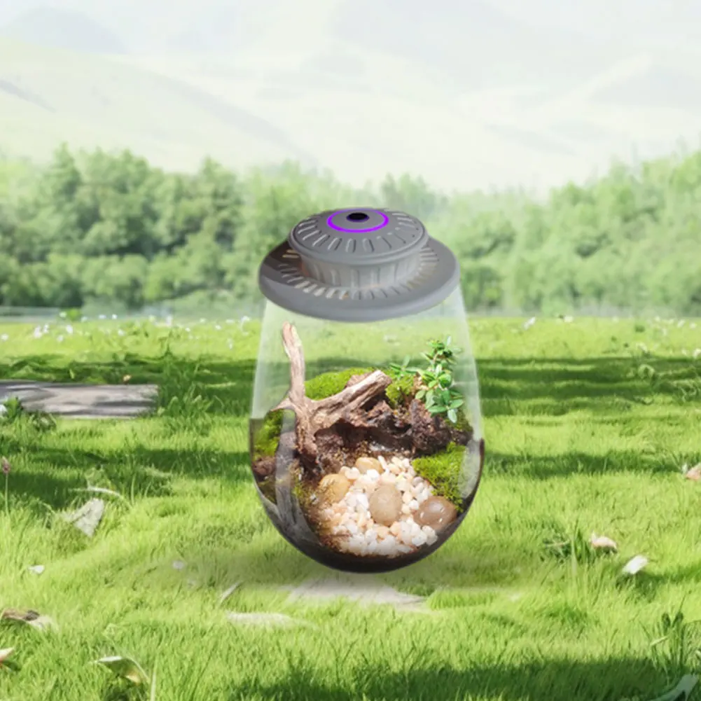 السرخس موس مايكرو المناظر الطبيعية تنمو ضوء 6500K النبات تنمو ضوء LED الطيف الكامل تزايد مصباح للمناظر الطبيعية البستنة المصغرة