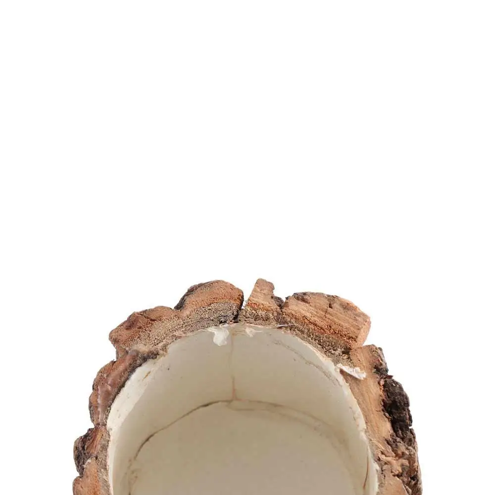 Schreibwaren Lagerung Holz Rinde Stift Halter Multifunktionale Minimalismus Desktop-Organizer Kosmetik Halter Schreibwaren Box Schule