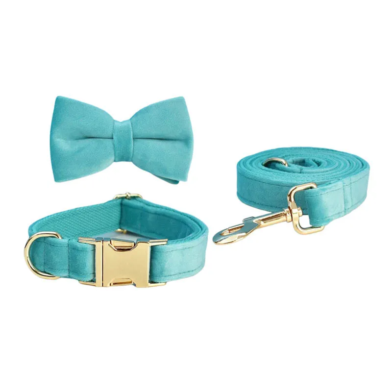 Conjunto de collar y correa de terciopelo turquesa con placa grabada_voghion.com