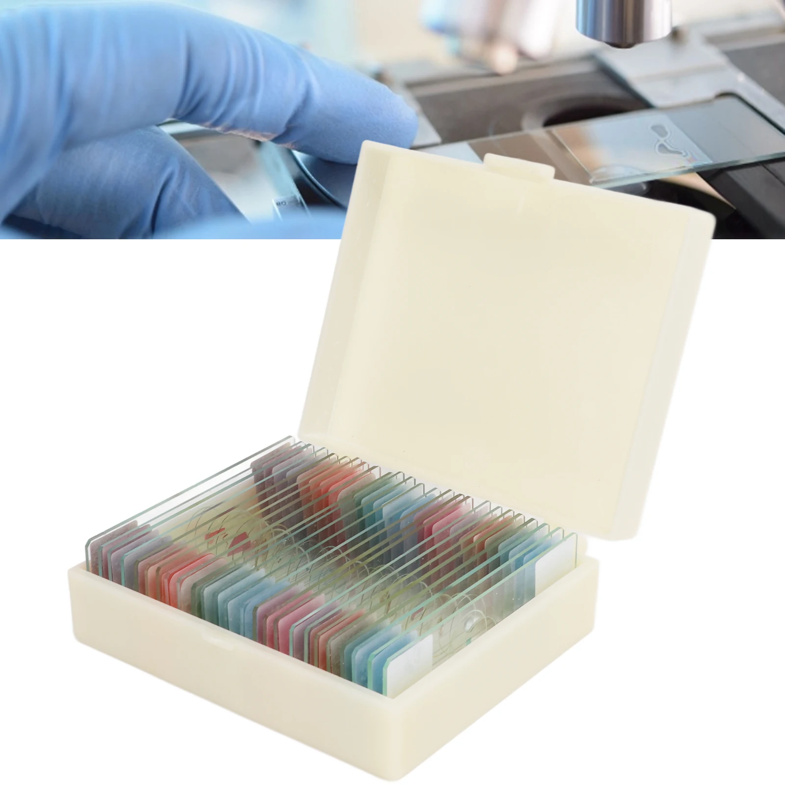 Microscope Accessories Slides High Definition Insect Animal Plant Specimens for Biology Education Biological Experiment Tool
