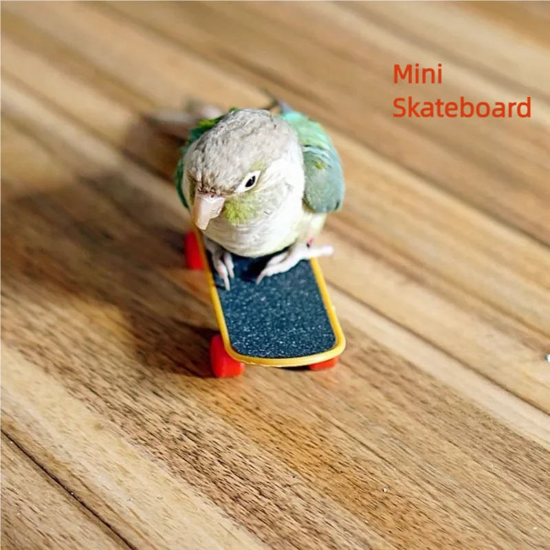 Finger Skateboard Game para Parrot, Intelectual Cool Fingerboard, Finger Joint, Plastic Promotion Board