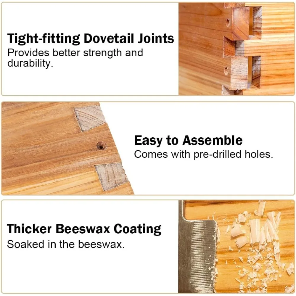 BeeCastle 10 إطارات Langstroth Bee Hive المطلي بشمع العسل تتضمن إطارات خلية النحل وأساس مشمع (صندوقين عميقين و1 متوسطة