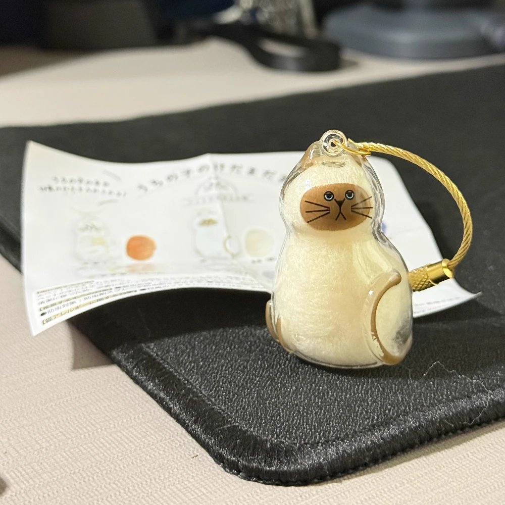 الحيوانات الأليفة صندوق أعمى لعبة شفافة صندوق تخزين شعر القط شنقا الديكور حقيبة المعلقات هدايا أصحاب القطط #5