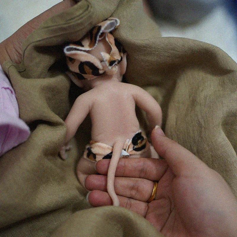 7 "ไมโคร preemie ตุ๊กตาทารกเกิดใหม่ซิลิโคนเหมือนจริงตุ๊กตาทารกเกิดใหม่มินิตุ๊กตาเด็กที่คลอดใหม่เกินราคาเด็กต่อต้านความเครียด