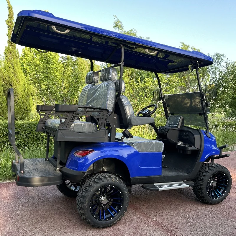 

CE Certified Powered Off Road Golf Cart Electric Golf Cart 48V 2 4 6 Seater Lifted Utility Sightseeing Blue Electric Golf Carts