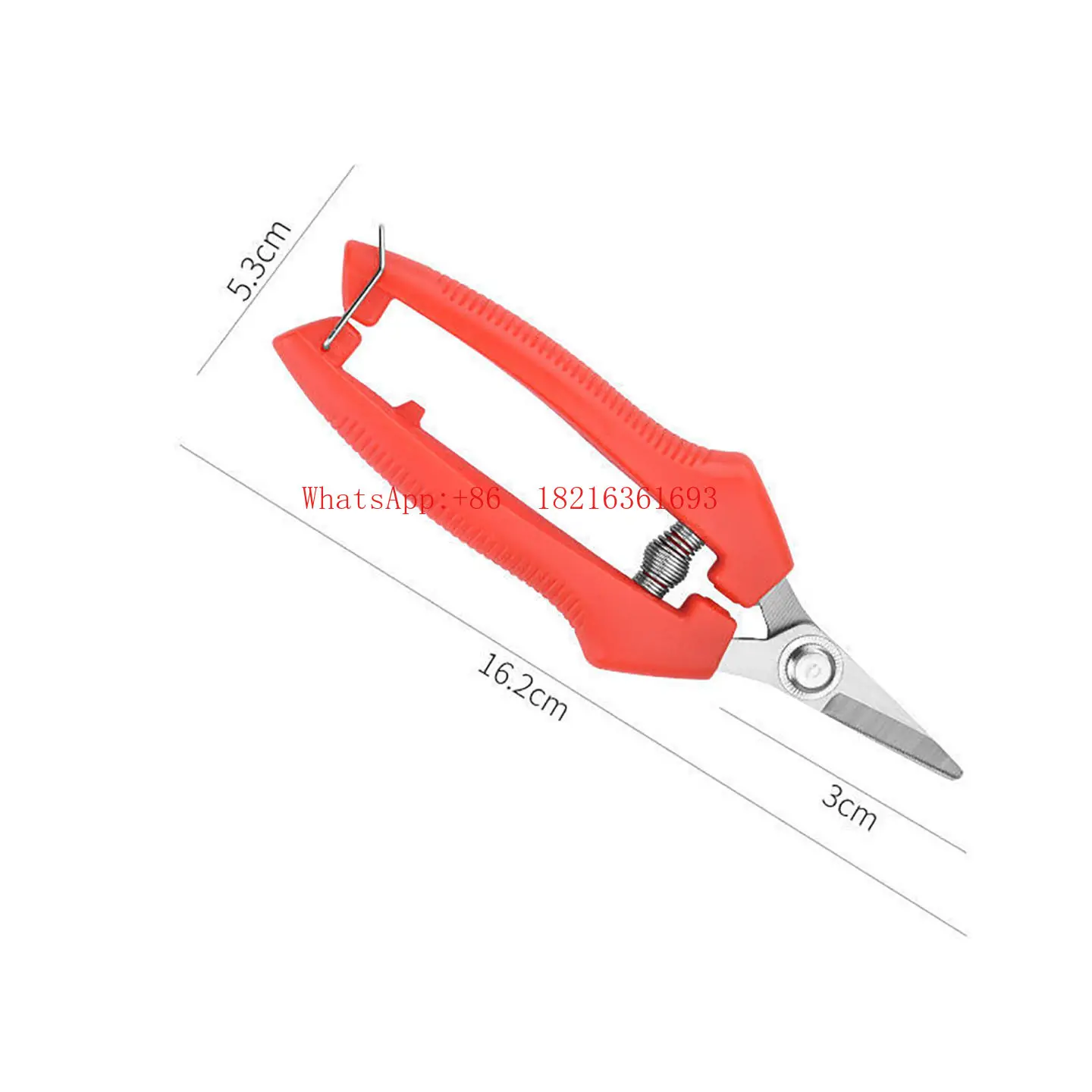 

Stainless Steel Fruit Picking and Horticultural Scissors Pruning Shears Special Shears for Grape Dragon Fruit Picking