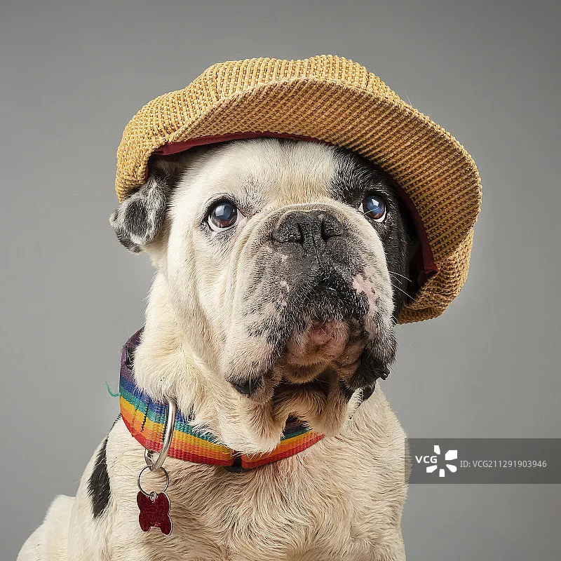 Flywoo O4 Wide Nd F…