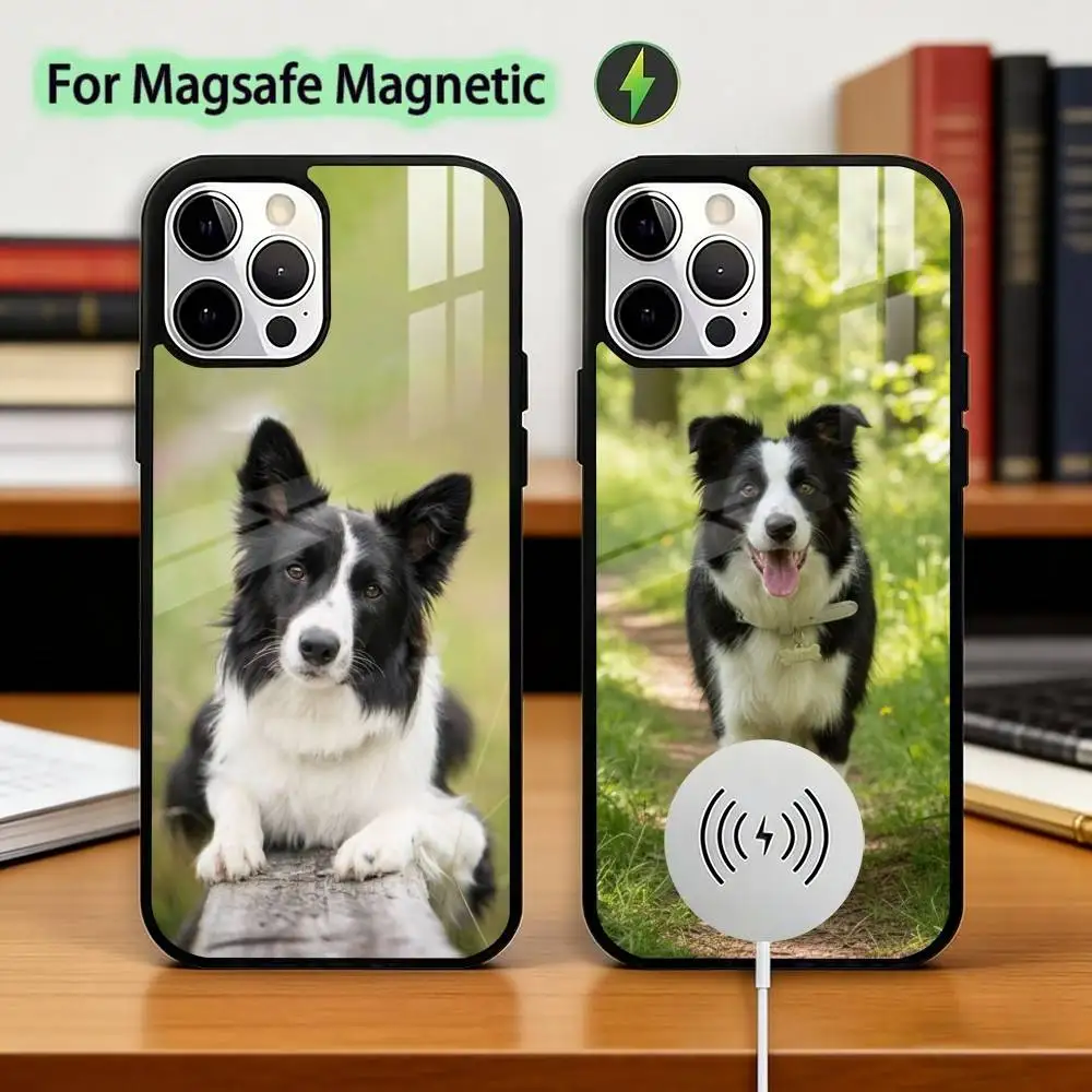 

Clever Border Collie Dog Phone Case For iPhone17,16,15,14,13,12,11 Plus,Pro Magnetic with Magsafe Wireless Charging