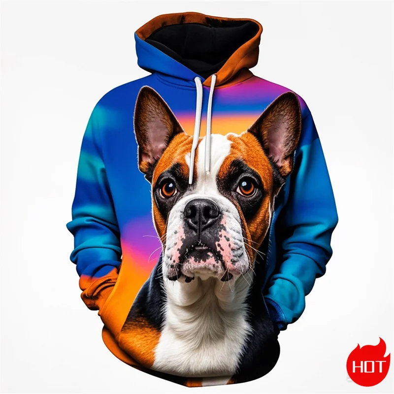 Autumn Harajuku 3D Printing Cute Dogge Boston Terrier New In Hoodies & Sweatshirts Unisex Funny Streetwear Hooded Hoody Pullover