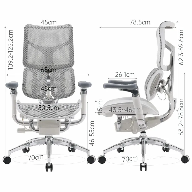 SIHOO Doro S300 Ergonomic Office Chair Gaming Chair Computer Chair with Dual Lumbar Support 6D Armrests Adjustable Rolling Mesh