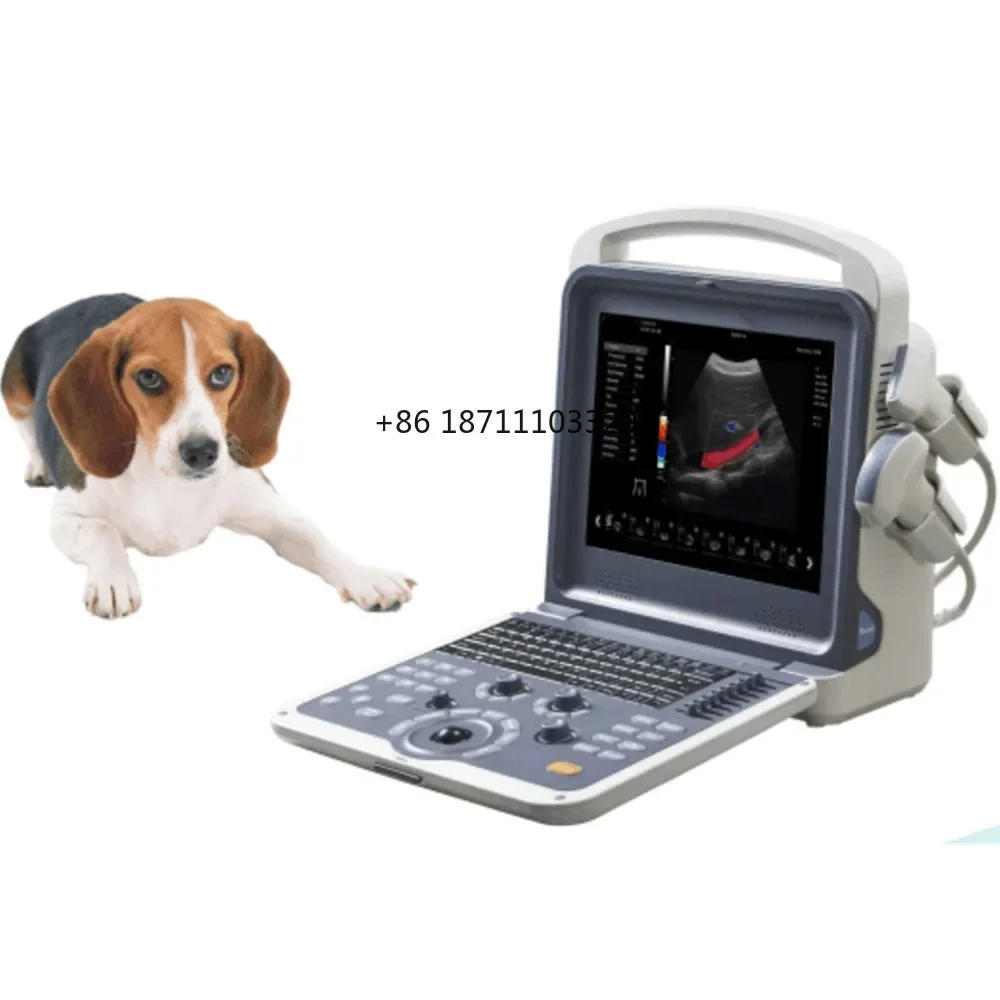 

Medical Equipment Hospital Veterinary Animals Vet 3D 4D Color Doppler Ultrasound Scanner