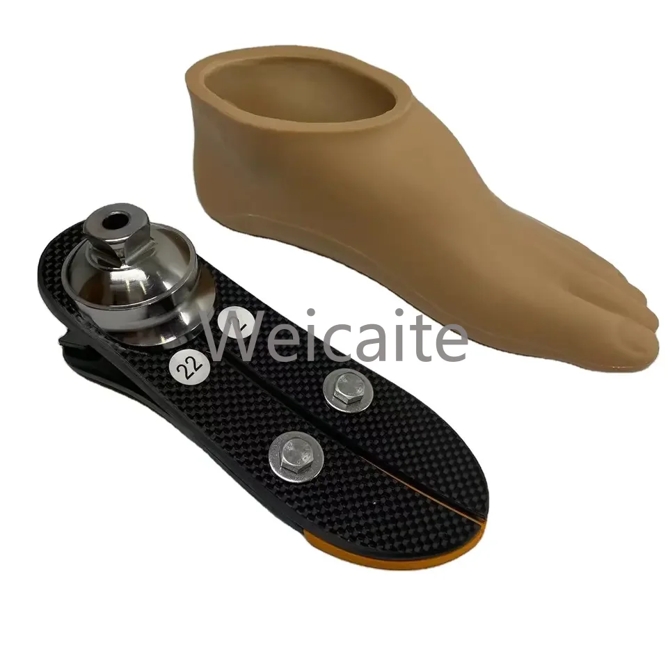 

Prosthetic Lower Limb Carbon Fiber Foot with Titanium Adapter Prosthetic Foot