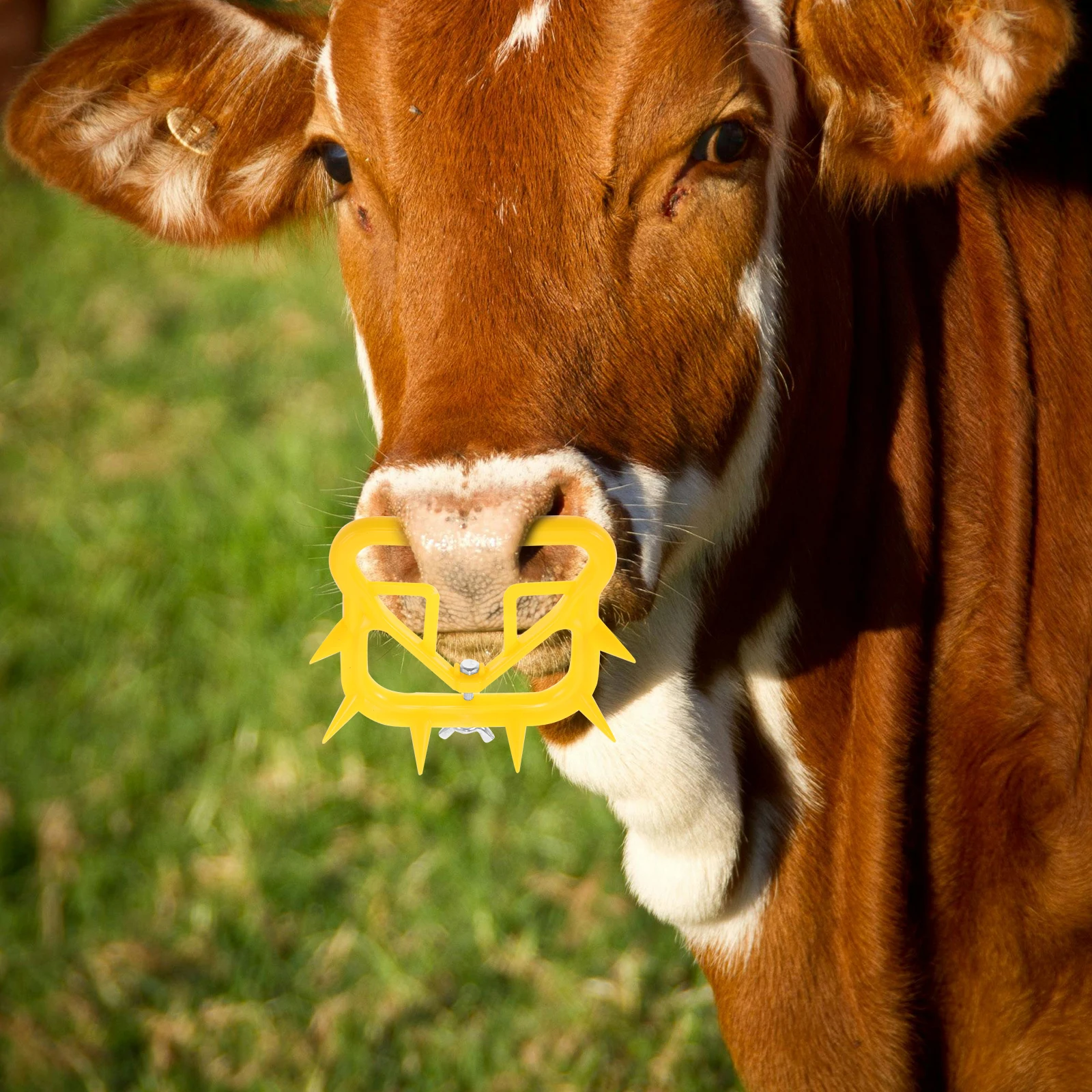 

Cow Weaning Nose Ring Gray Weaner Cows Calf Rings Thicken Cattle Tool for Calves