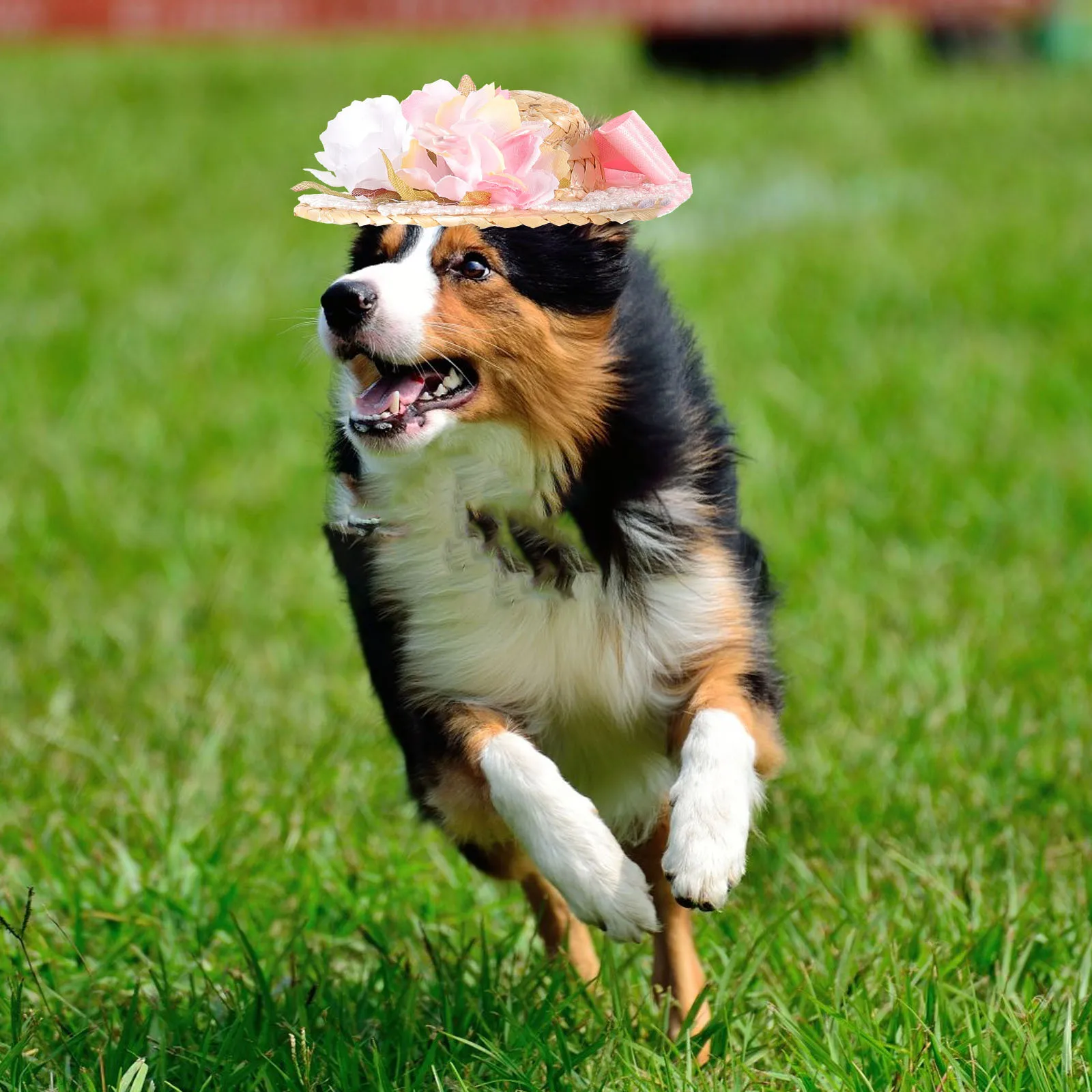 Gorro de paja rosa con lazo para mascotas, gorro de flores para perros y gatos, tamaño S, hecho a mano, decorativo, foto, recuerdo de fiesta, bonito y Adorable, verano