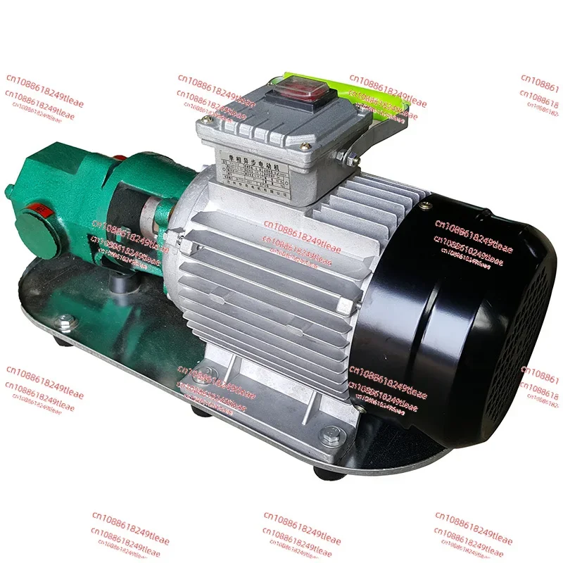 

WCB-75 Self-Priming Gear Oil Pump Portable Cast Iron High Temperature Electric Gear Pump 750W Small High Viscosity Oil Pump 220V