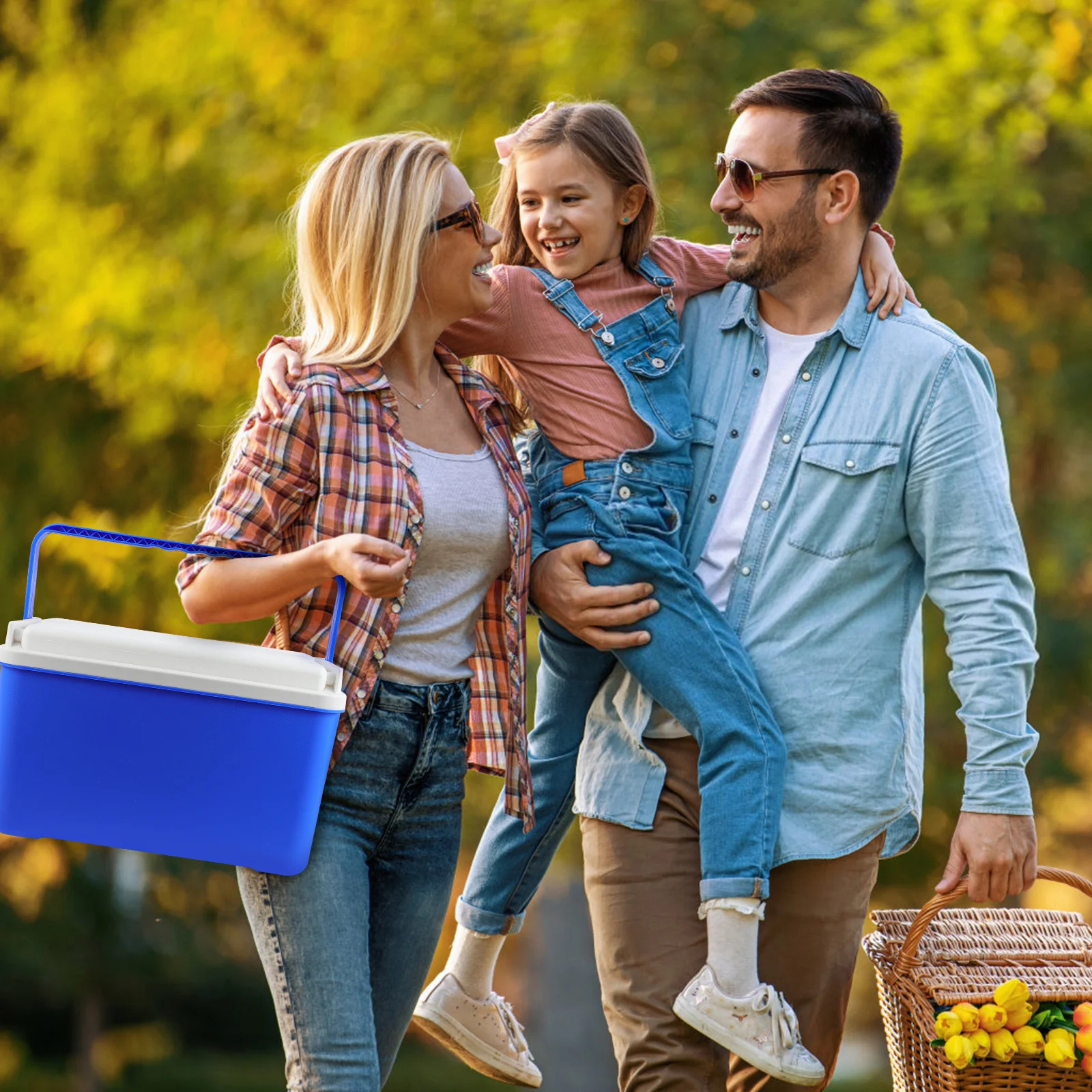 

12L Insulated Picnic Basket Portable Cooler Box Durable Practical Comfortable Handle for Hot Cold Food Drink Storage