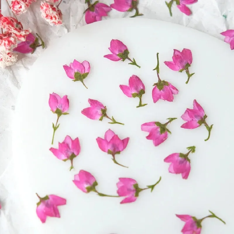 40 قطعة/1-1.5 سنتيمتر ، رأس زهرة صغيرة مضغوطة الطبيعة ، زهور مرافقة لتقوم بها بنفسك ماكياج الوجه بالتنقيط الغراء جراب هاتف المرجعية إطار صور النبات