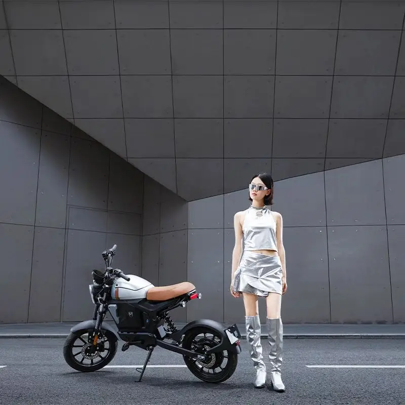 

Electric bicycle smart lithium battery men and women can ride battery car 14