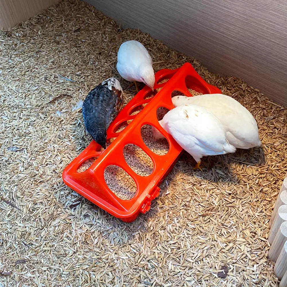 Comedero Automático para Pollos Rudin, Dispensador de Agua y Comida, Bebedero para Aves, Contenedor de Alimentación ﻿