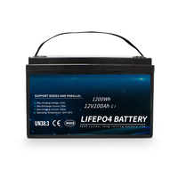 Lithium ion battery pack for LifePO4 battery 12V 24V 36V 48V 20Ah 40ah 50ah 100ah 150AH 200ah 300AH solar panel storage