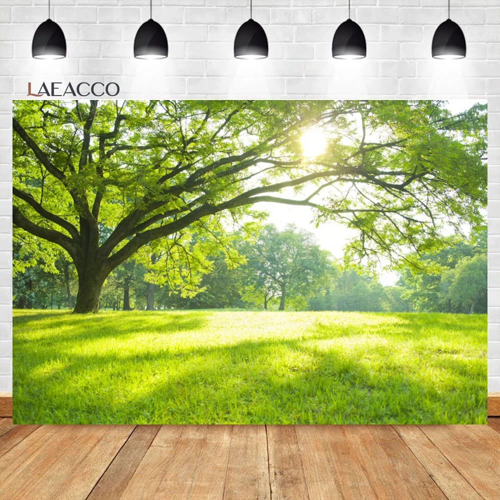 Laeacco Spring Scenery Backdrop Rural Forest Trees Woodland Meadow Grass Flower Fairy Tale Adult Portrait Photography Background