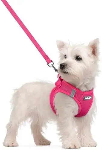 

Small dog harness with soft light, breathable mesh, reflective for safety, rose red design.