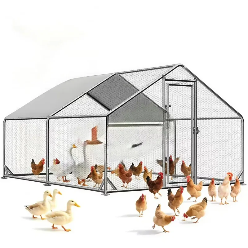 Heavy-Duty Galvanized Steel Poultry Run | Spacious 10-15 Chicken Capacity | Weather-Resistant, Easy to Assemble & Durable