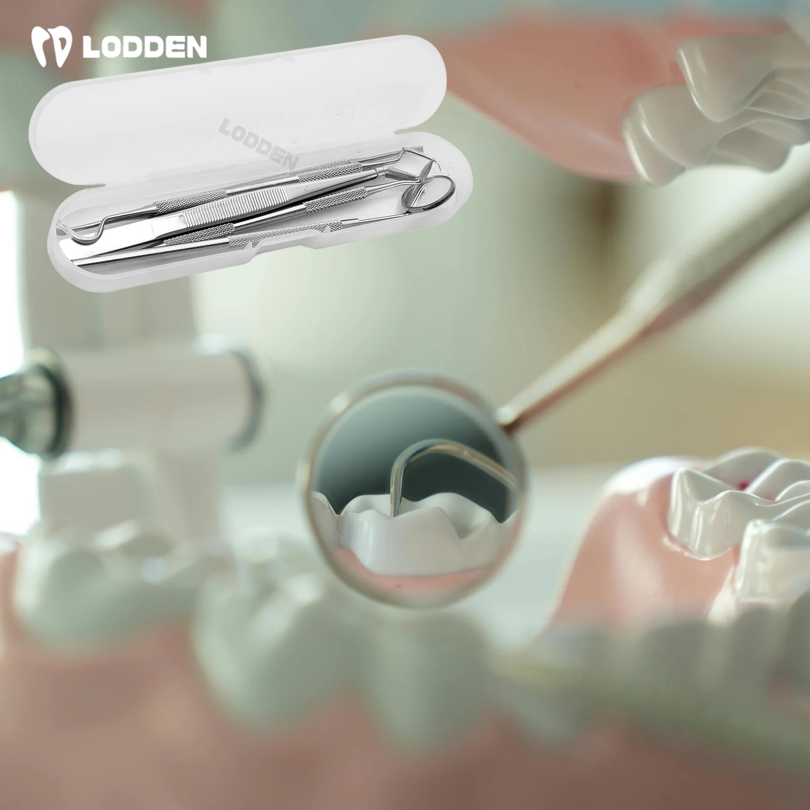 

Lodden Steel Dentist Clean Tools Dental Mirror Double Probe Sickle Hoe Tooth Cleaner Dental Clinic Tool Products Oral Care Kit