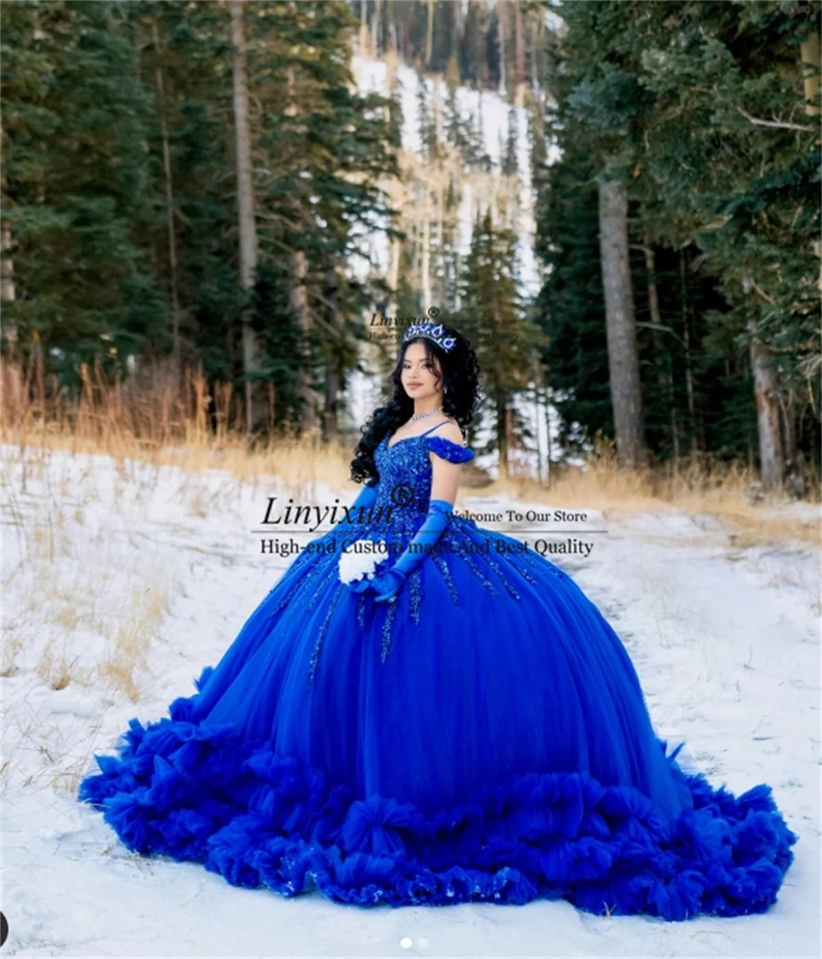 Ball Gown Quinceane…