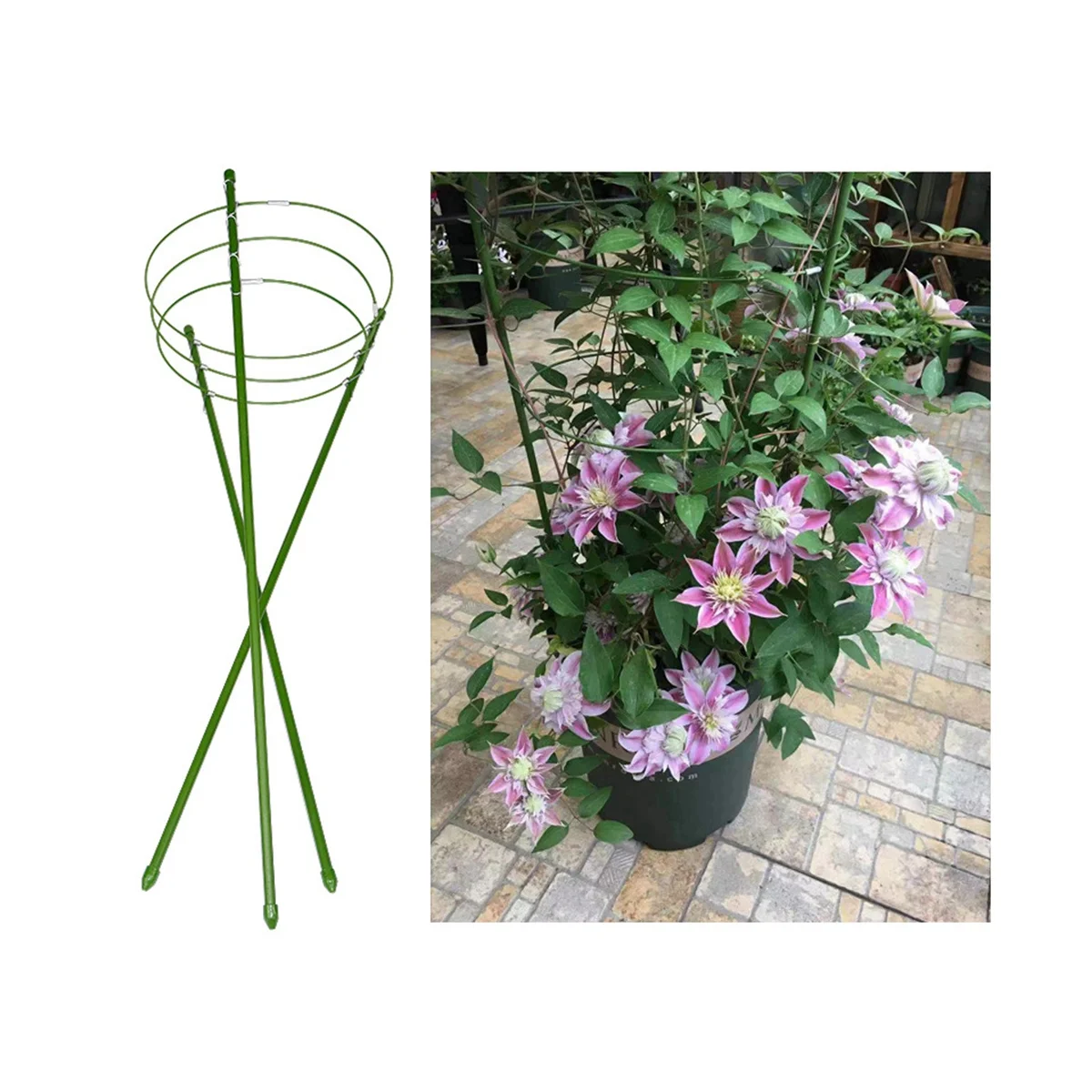 Garden Trellis for Climbing Plants Free Vine Plant Support Wire with Coating Decorative Potted Plants Climbing