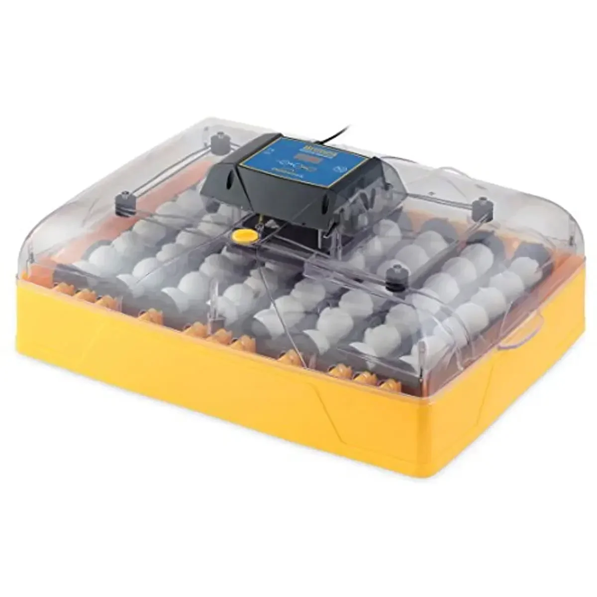 

NEW Products Fully Automatic Egg Incubator with Humidity Control, One Size,Yellow/Black