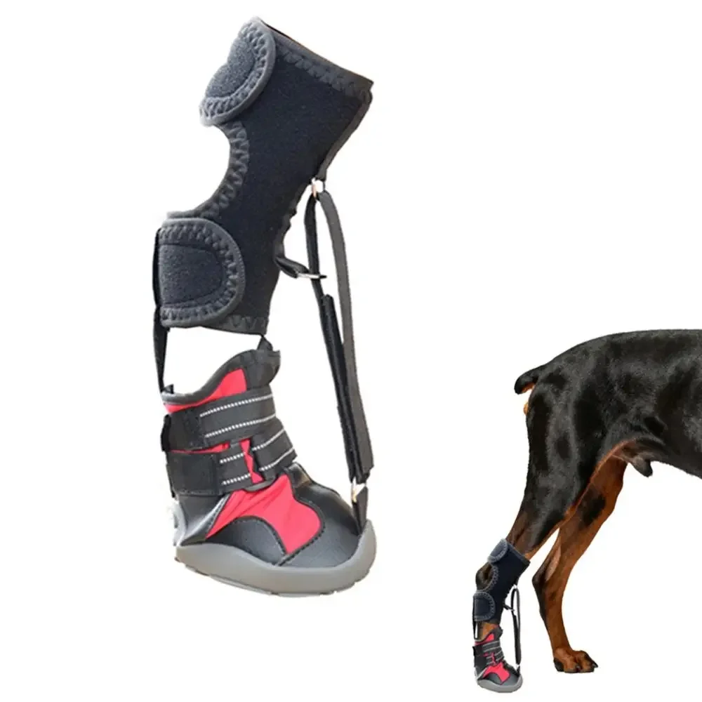 Puppy Dog Shoes with Reel Corrective Strap-On Lift Toes Drop Foot Brace for Dogs Breathable Wear-resistant Paw Protectors