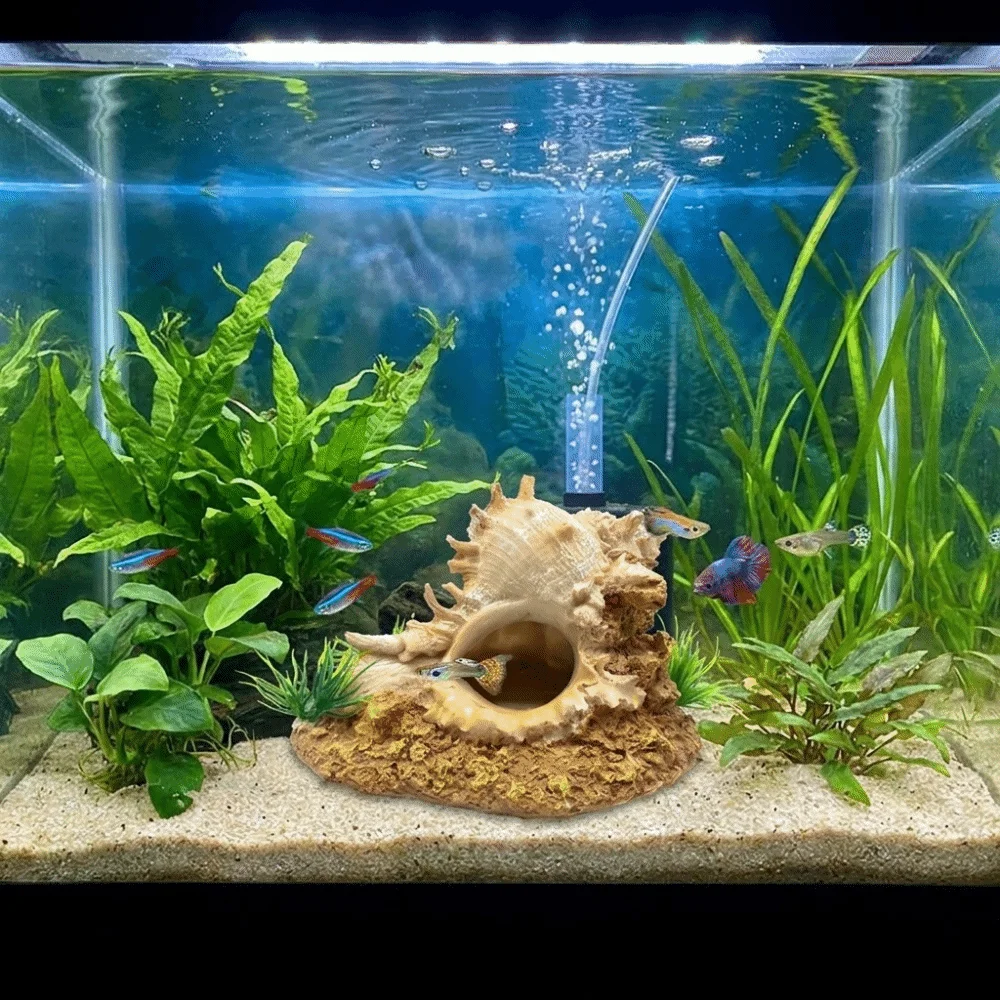 Conch Shape Fish Hideaway Cave Natural Look Simulation Aquarium Simulated Cave Resin Aquascape Shrimp Hiding House