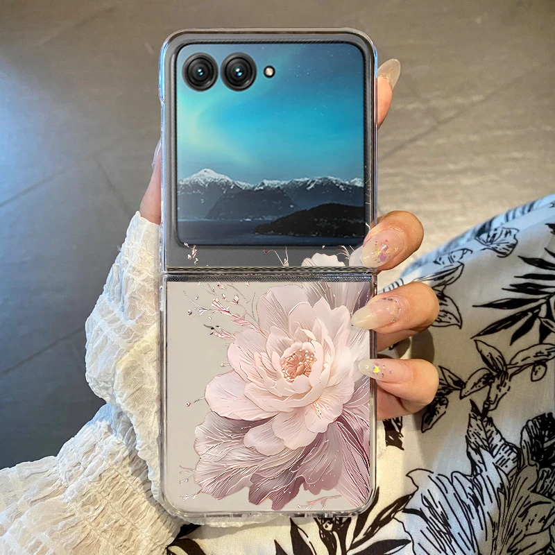 Rose Pink Flowers P…