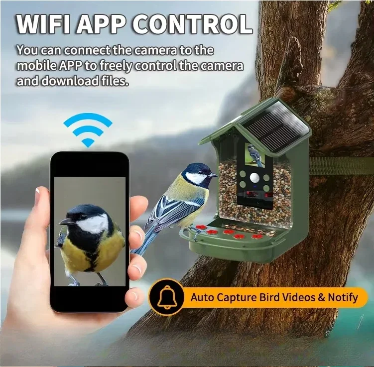 Solar-powered outdoor night vision with camera automatically captures smart bird feeder