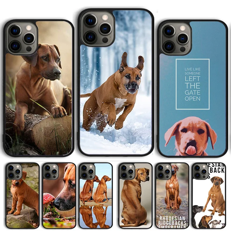 Rhodesian Ridgeback Dog Phone Case Cover For iPhone 15 16 14 13 Pro Max 12 Mini 11 Pro Max XR XS Max Plus Coque Shell