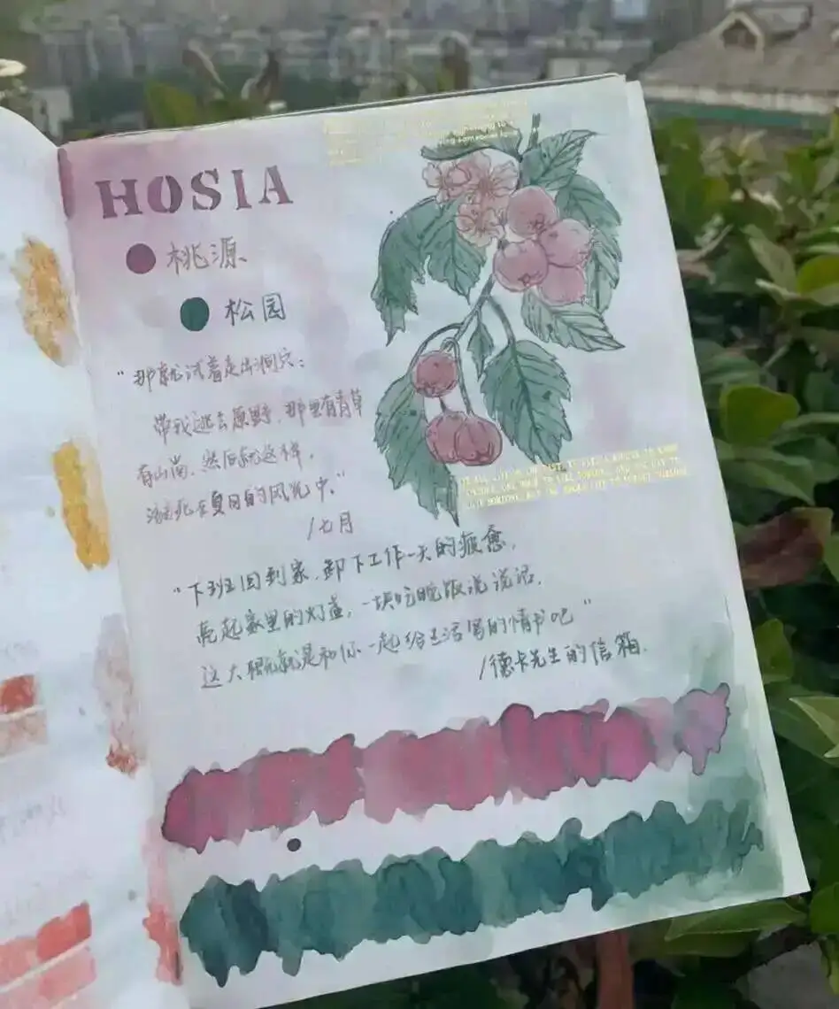 Hosia Fountain Pen Ink Color Ink Chromatography Gradient Ink Dip Fountain Pen Ink 30ml