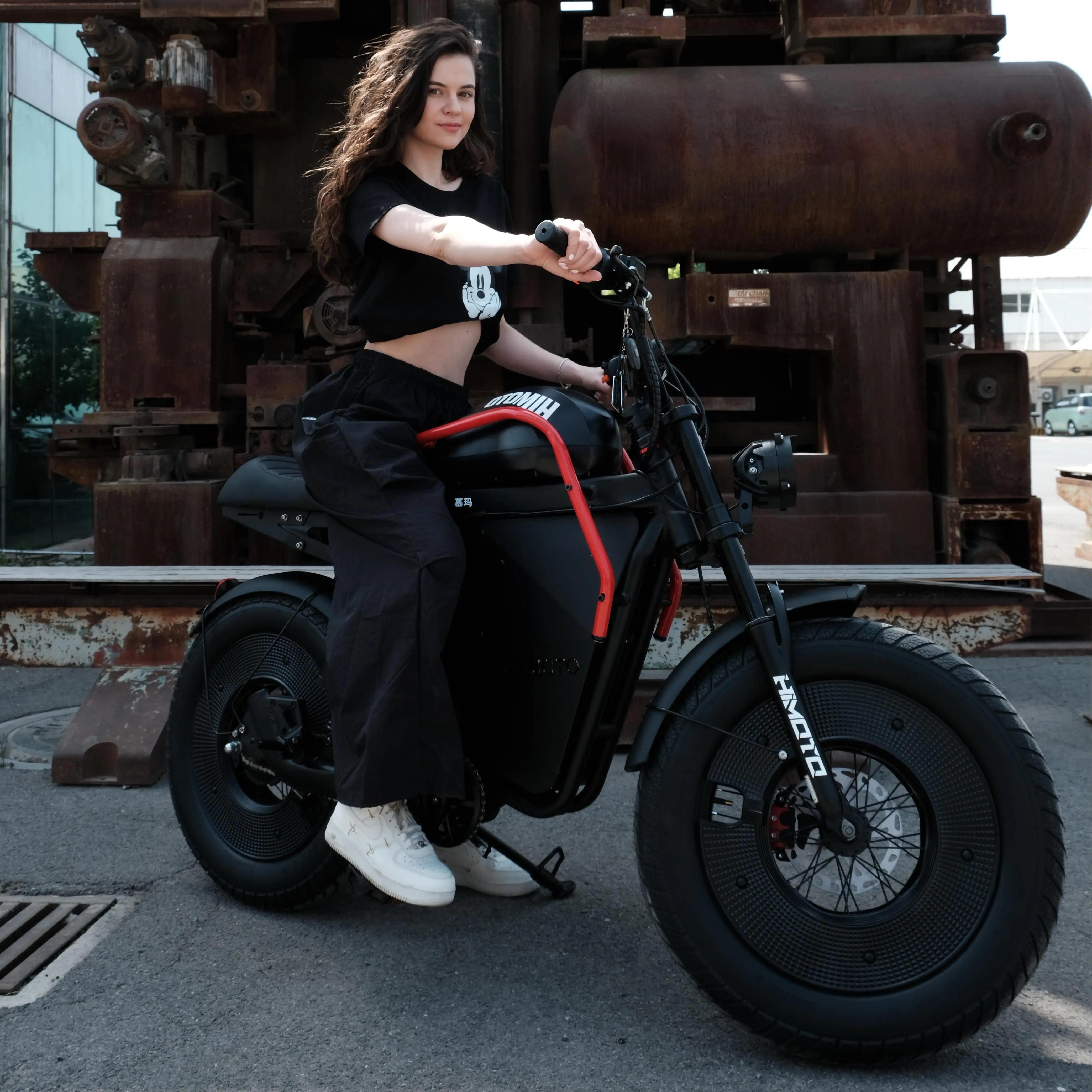20 Inch Fat Tire Electric Bike City Commuter Disc Brake Urban E-Bike for Adult
