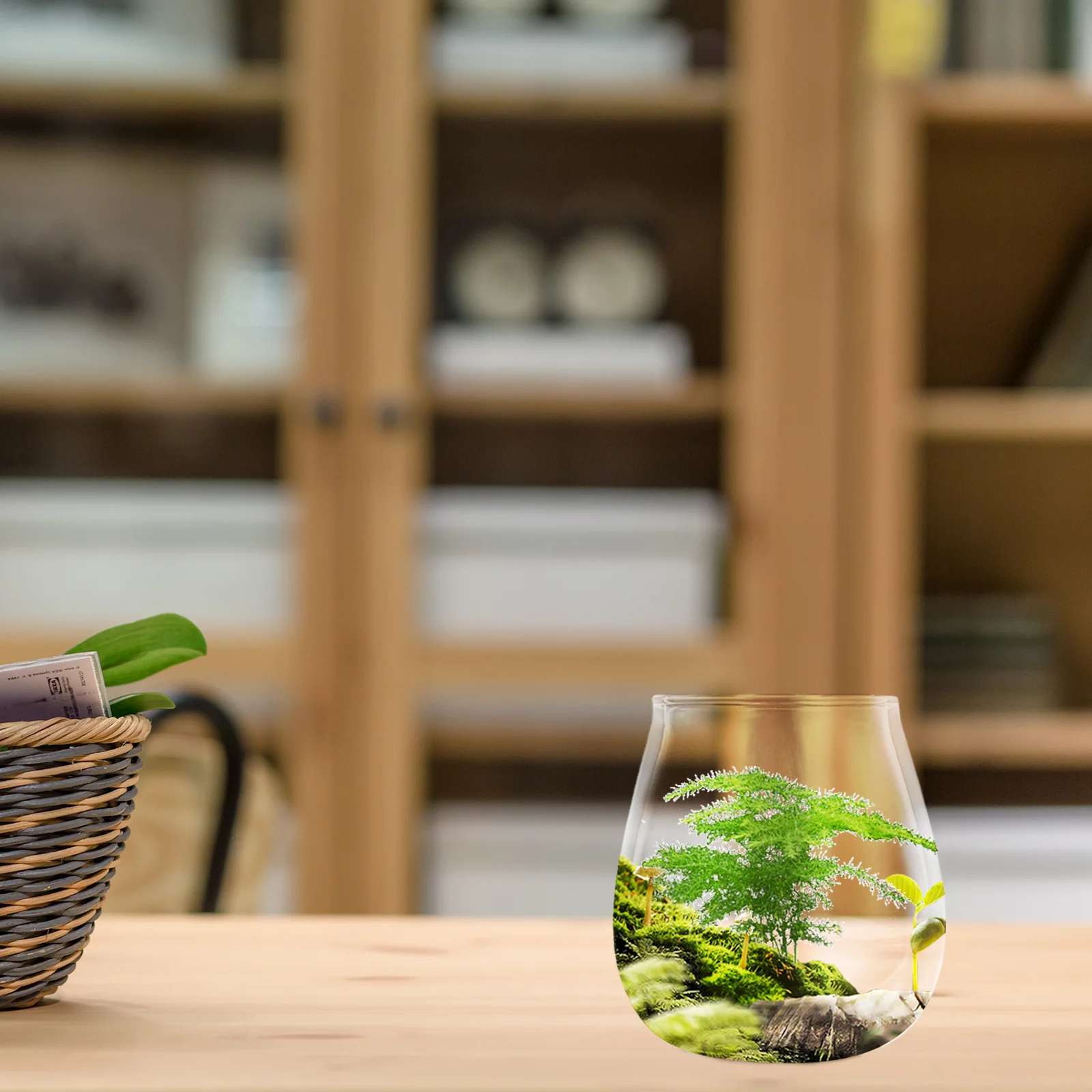 

Hydroponic Terrarium Container Landscape Bottle Decoration Desktop Glass Creative Flower Pot