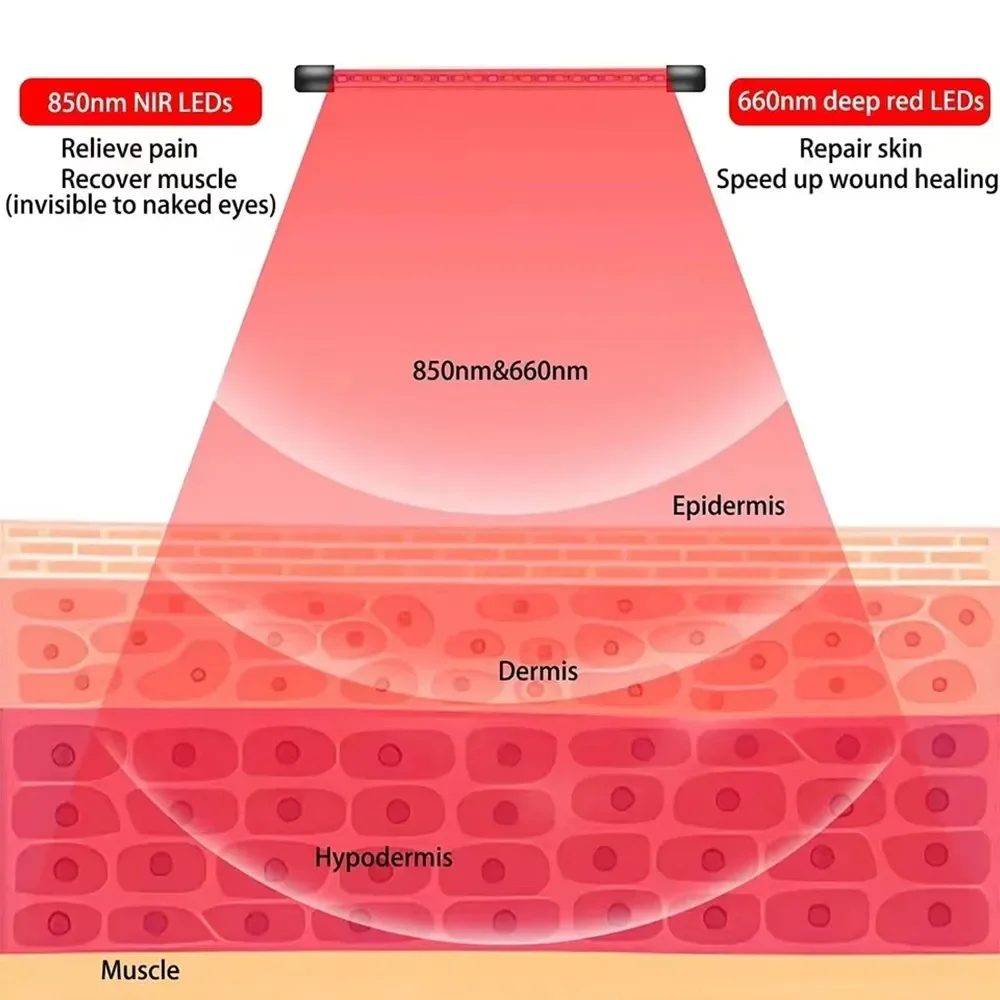 4/5 مصابيح جهاز الضوء الأحمر مع 660 نانومتر و 850 نانومتر، استعادة العضلات للبشرة والخصر والركبة والرأس والكتف لتخفيف التعب الارتفاع قابل للتعديل