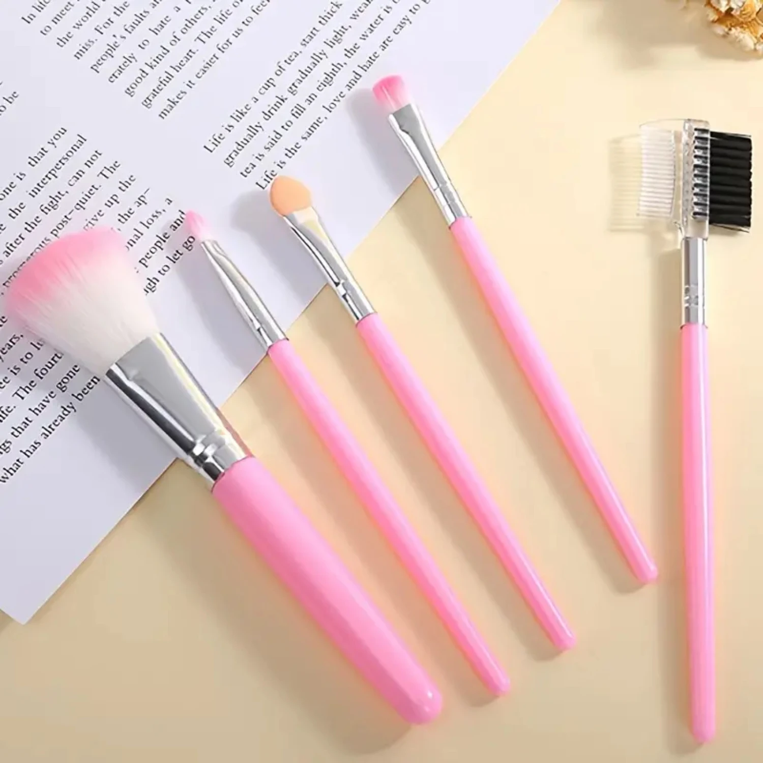 Set di pennelli per trucco da 5 pezzi con una custodia Mini ombretto professionale portatile Blush Pennelli per fondotinta in polvere sciolta Compleanno