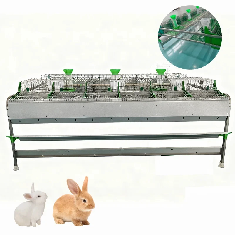 

New 12 Cells Rabbit Breeding System Cage With Nest Box Wire Mesh Built-In European Style Long Service Life