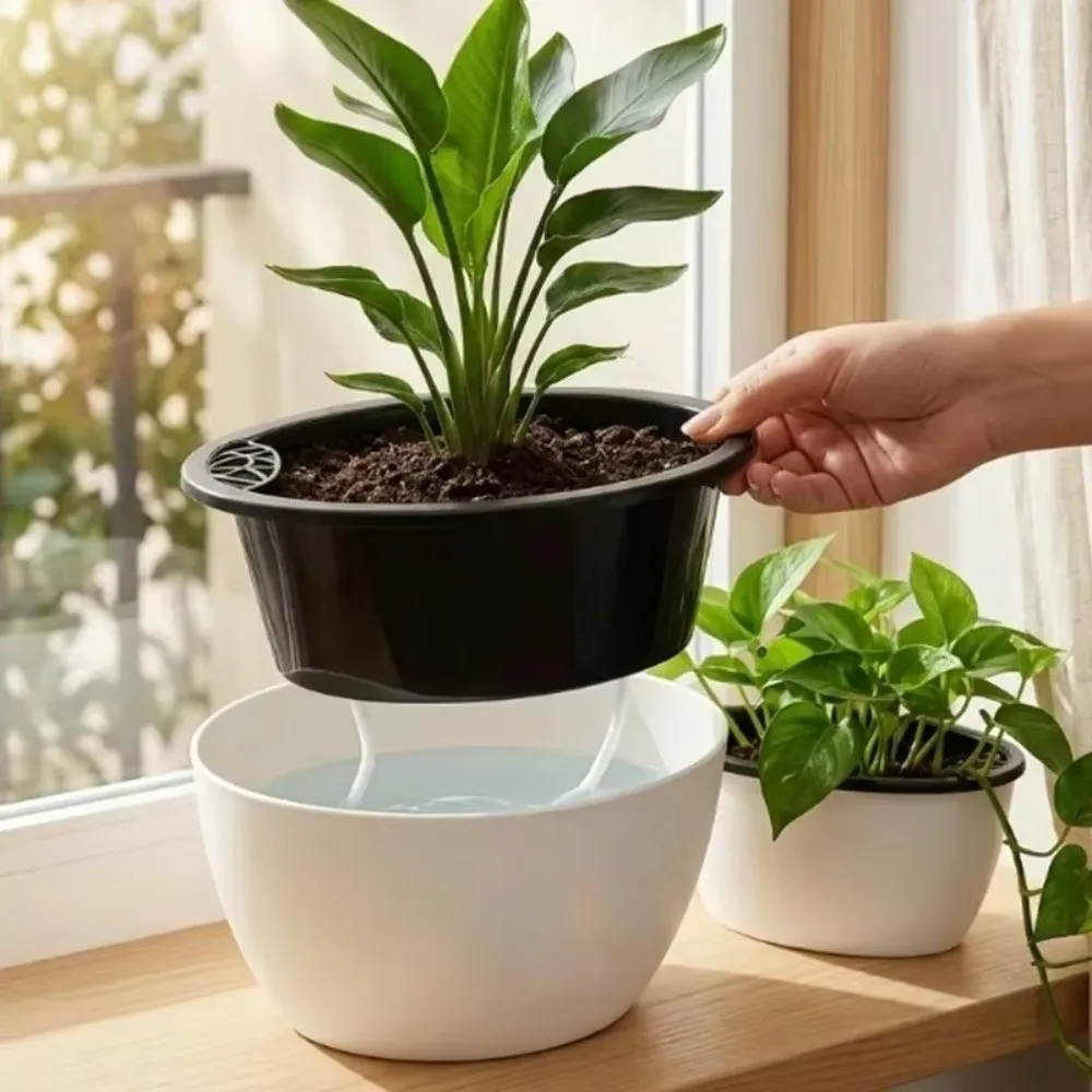 Self Watering Flower Plants Pot PP with Water Reservoir Planters Pot Hydroponic Flower Oval Seed Nursery Pots