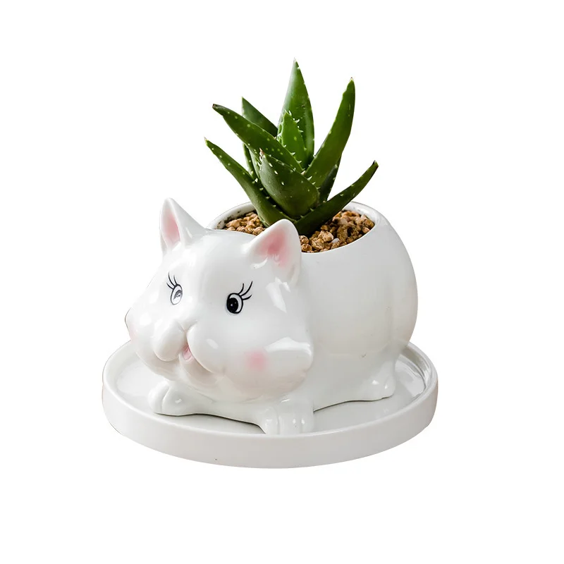 

creative white porcelain succulent flower pot ceramic home gardening balcony green plants old pile cartoon animal flower pot