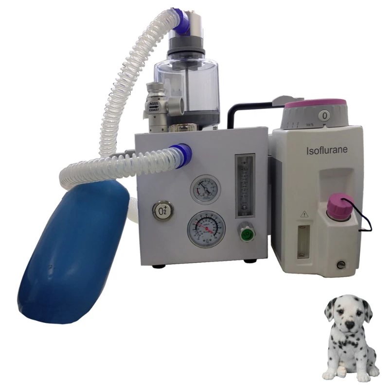 Veterinary Anesthesia Oxygen Flow Rate Pet Inhalation Anesthesia Machine