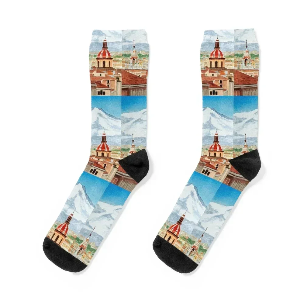 Catania Sicily And Mount Etna Socks retro Novelties cycling with print Boy Socks Women's