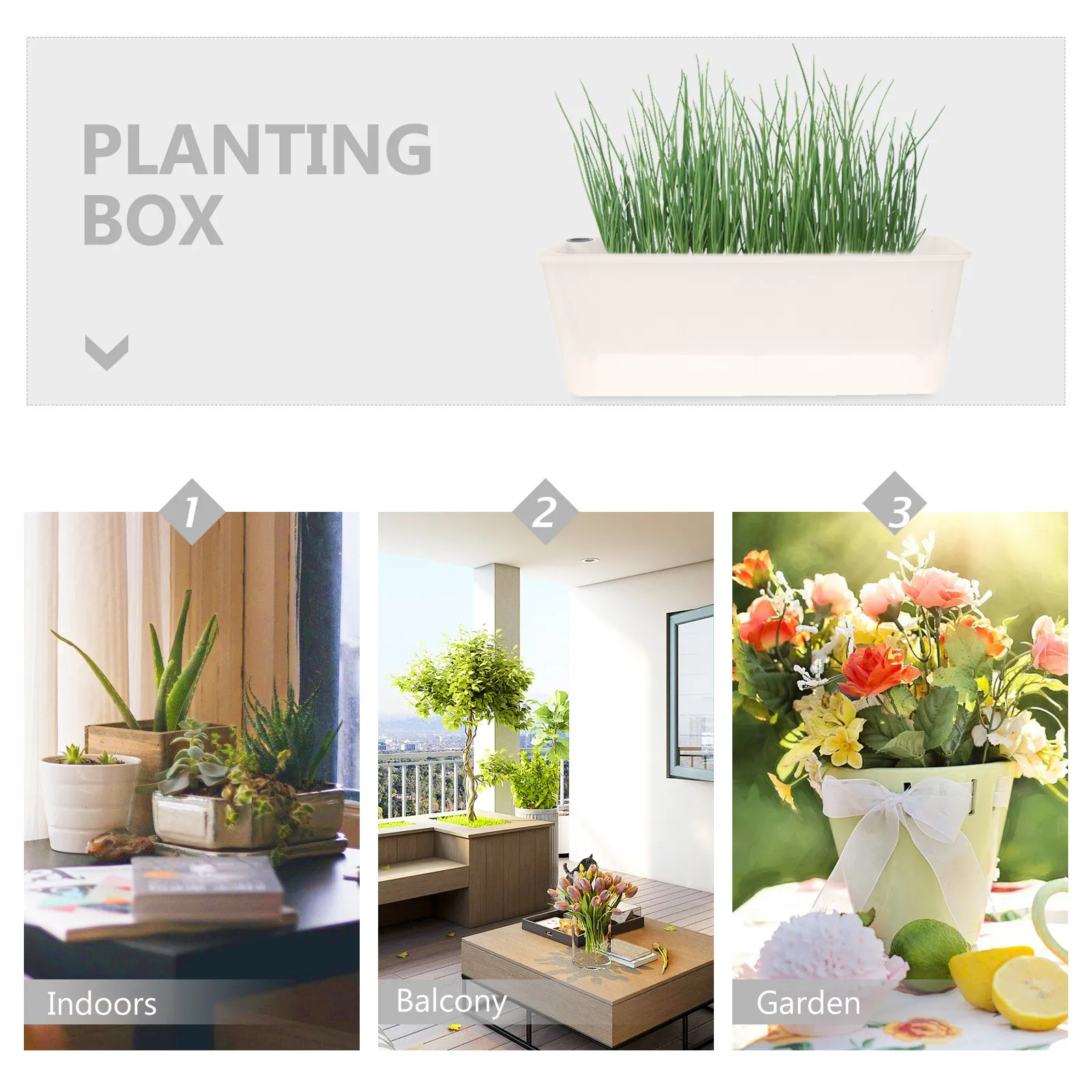 Long Rectangle Planter Box with Visible Water Window Self System for Windowsill Balcony Indoor Outdoor Plants Space
