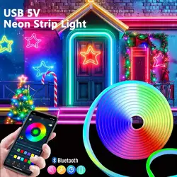 5V USB RGB Неоновая светодиодная лента 1M 2M 3M 4M 5M Приложение Bluetooth и пульт дистанционного управления с RGB неоновой лентой для телевизора Домашнее неоновое декоративное освещение